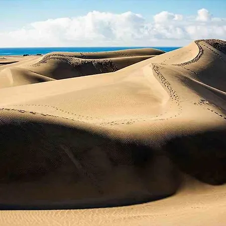 Canary Garden Club Feriested Maspalomas (Gran Canaria)